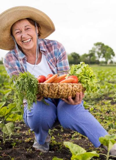 PDR-gestion-comunitaria-para-el-desarrollo-desk